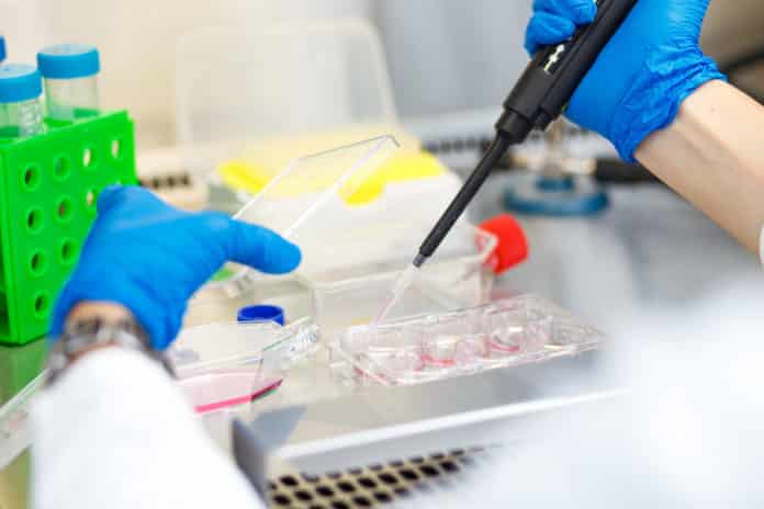 Bsc Chemistry Advance R&D Chemist Post @ PolyOne