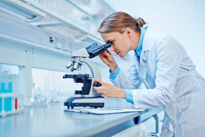 Junior Research Fellow Post @ Shiv Nadar University