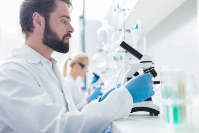 Msc & B.Tech SRF Job Opening @ Amity Institute of Biotechnology