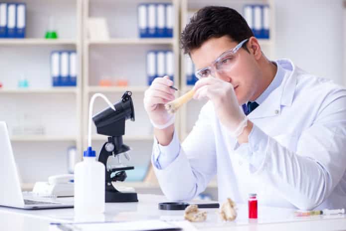 Research Fellow @ Maulana Abul Kalam Azad University of Technology