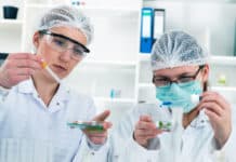 Bsc & Diploma Chemical Engineers Job Vacancy @ Syngene