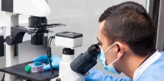 Msc/Bsc JRF Job Vacancy 2019 @ NIT Warangal - Apply Online