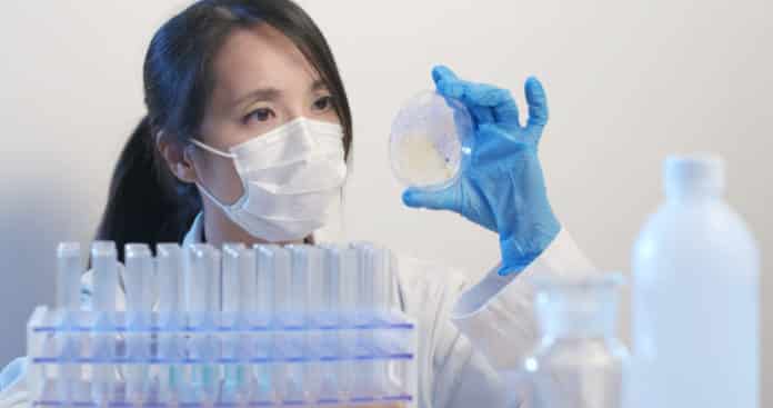 Phd Research Associate Job up to 56,000 Salary Per Month @ IIT Guwahati
