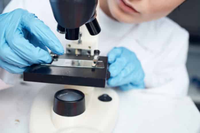 Banaras Hindu University Job Opening – Chemistry JRF/SRF Post