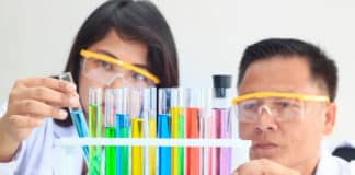 JRF Post Vacancy in CSIR Project @ Visva Bharti - Apply