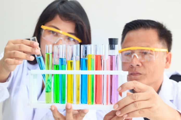 JRF Post Vacancy in CSIR Project @ Visva Bharti - Apply
