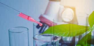 IARI Research Job Opening 2019 - Application Details