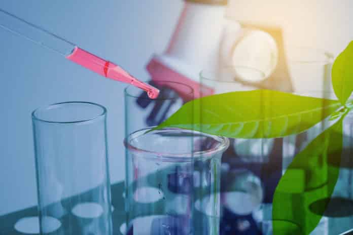 IARI Research Job Opening 2019 - Application Details