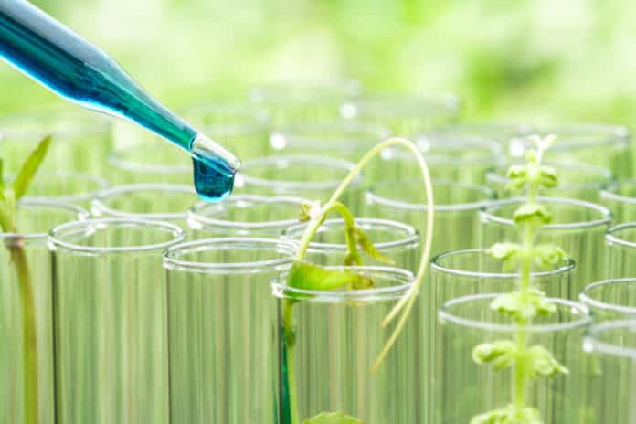 Alagappa University Chemistry Project Fellow Post - Apply
