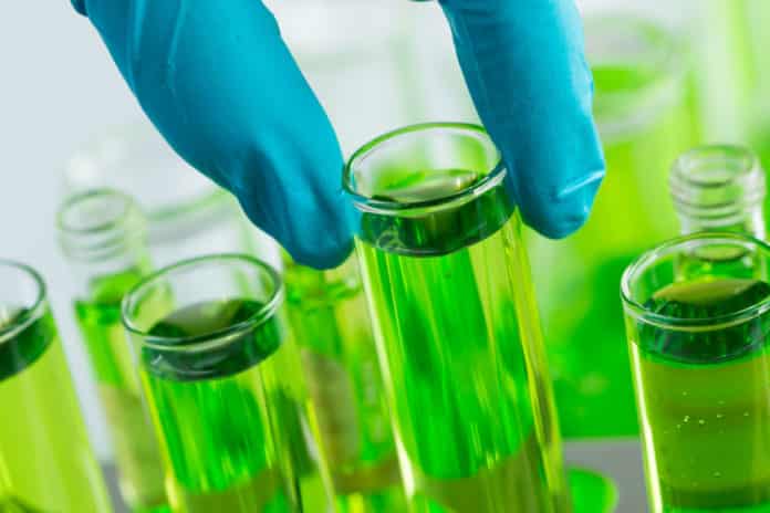 IIT Roorkee Chemistry JRF Job 2019-20 - Apply Now