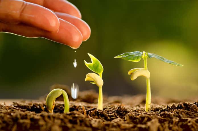 IARI Research Fellow Job Opening 2019 – Application Details
