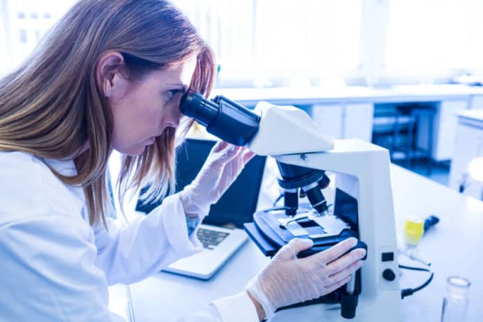 Junior Research Fellow Job Opening 2019 @ University of Hyderabad