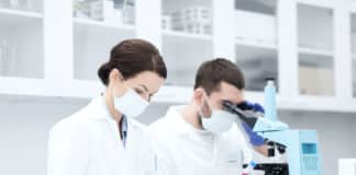 Phd Project Associate Job Vacancy 2019 @ BDU - Apply