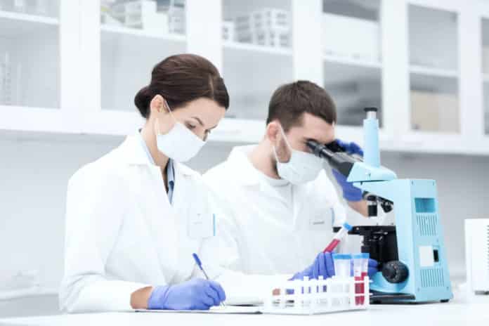 Phd Project Associate Job Vacancy 2019 @ BDU - Apply