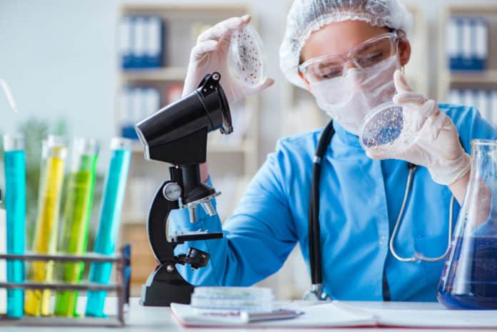 Chemistry Project Fellow Post in FCRA Project @ Panjab University