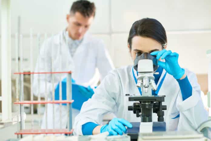 Project Assistant Job Opening at NCL Pune - Apply Now
