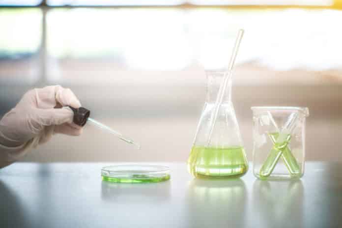 Project Assistant-Chemistry @ Central University of Rajasthan