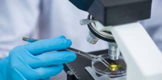 Chemistry Senior Research Officer Job Vacancy @ Glenmark