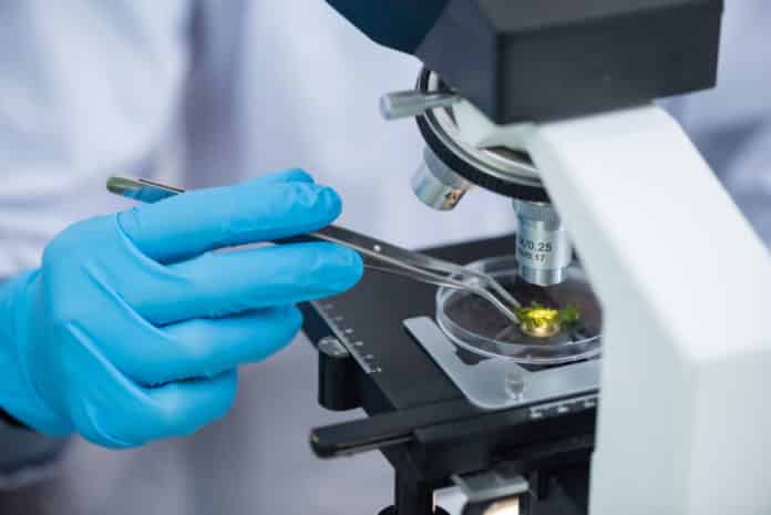 Chemistry Senior Research Officer Job Vacancy @ Glenmark