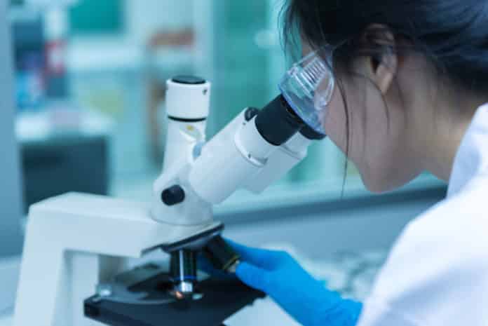 BIT Mesra Chemistry Job Opening - Junior Research Fellow