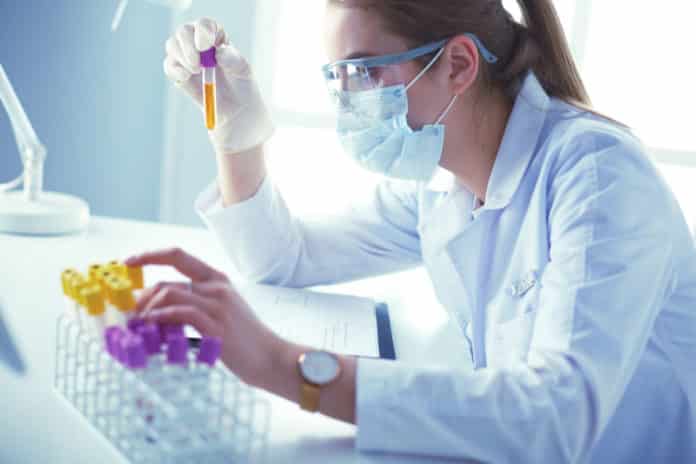 Project Fellow Research Job @ Amity University - Apply Now