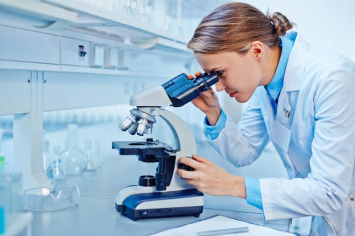 Bsc Chemistry Project Assistant Post @ Banaras Hindu University