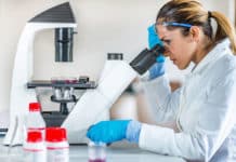 NIT JALANDHAR Hiring Chemistry candidates for JRF/SRF Post