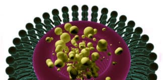 Use of Nanopores Could Be A New Membrane for Water Purification