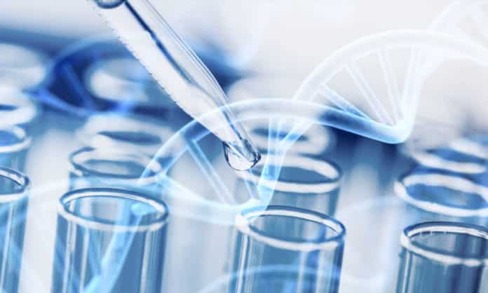 Phd Research Associate Job at IISER Pune - Rs 50,000 pm Salary
