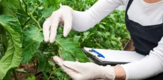 Crop Protection Researcher Post Vacancy @ BASF