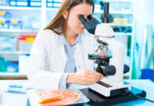 IIT Ropar Chemistry JRF Jobs Opening Available