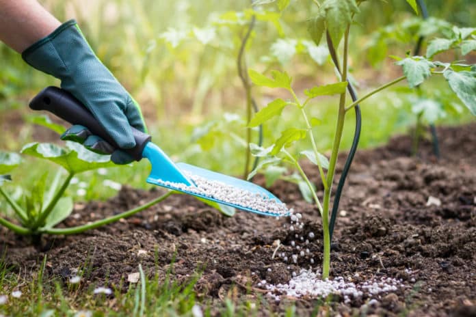 Govt National Fertilizer Limited Sr. Chemist Recruitment 2019
