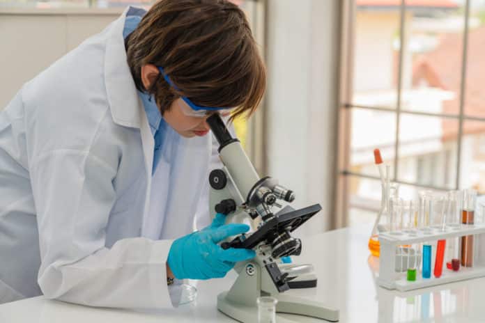 IIT Roorkee Project Fellow Job Opening 2019-20 – Apply Now