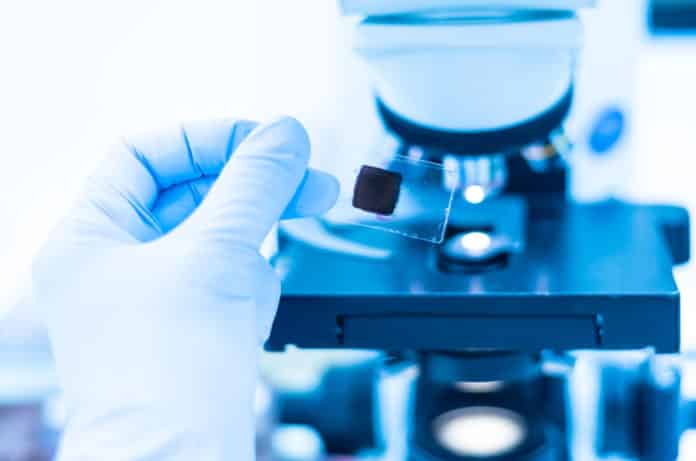 Amity University Pharma RA Vacancy 2019 – Apply Now