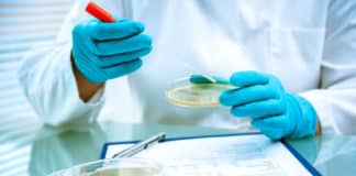 BPharma Drug Safety Coordinator Job Opening @ Covance