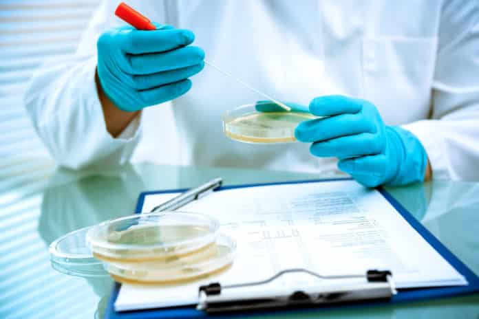 BPharma Drug Safety Coordinator Job Opening @ Covance