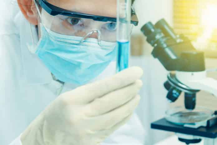 JRF Post Vacancy at Banaras Hindu University
