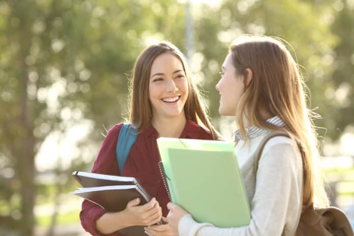 Focus Area Science Technology Summer Fellowship 2020
