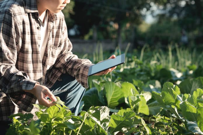 Govt Dept of Agriculture National Institute of Plant Health Management Chemistry Jobs 2019