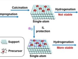 Stabilization of Single-Atoms by Ionic Liquids