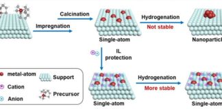 Stabilization of Single-Atoms by Ionic Liquids