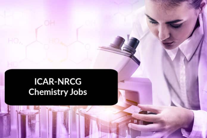 ICAR-NRCG Chemistry Jobs – Research Assistant Posts