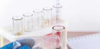 ICAR-IISR Research Fellow Job Opening 2019 - Walk in