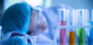 Msc Research Fellow Job Opening Available @ IRD-IITD