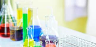 SRF Post in Helicobacter Pylori Project at National Institute of Immunology