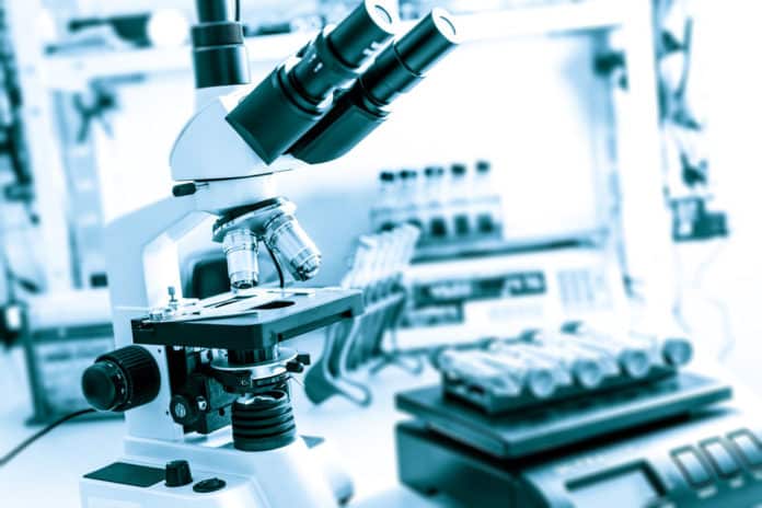 BBRC Research Associate Job Opening @ Syngene