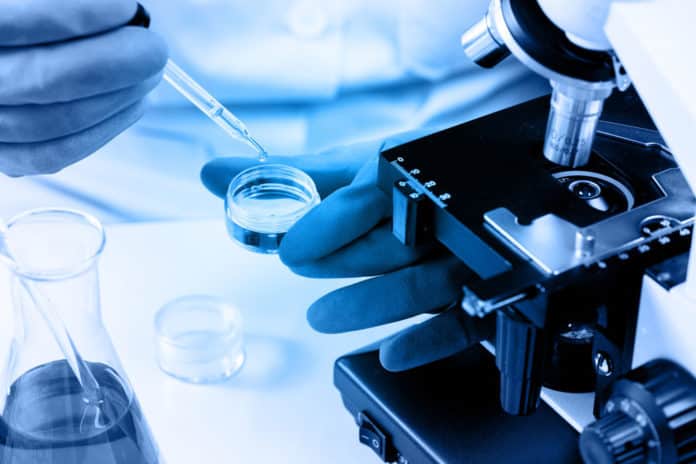 SRM University Chemistry Research Fellow Job Opening 2019