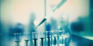 Rajiv Gandhi University Job Opening - Chemistry & Pharma