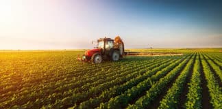 Govt Ministry of Agriculture Pharmacology Recruitment 2019