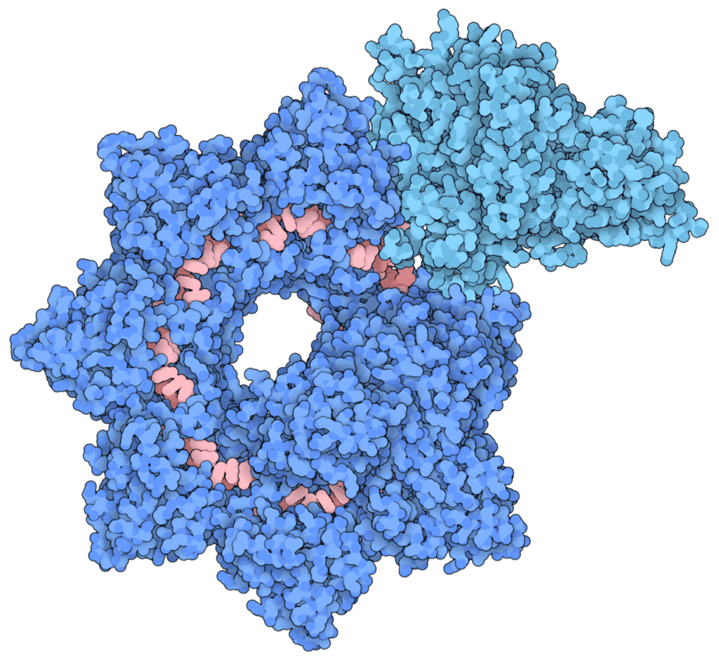 INTEGRATE system for gene editing